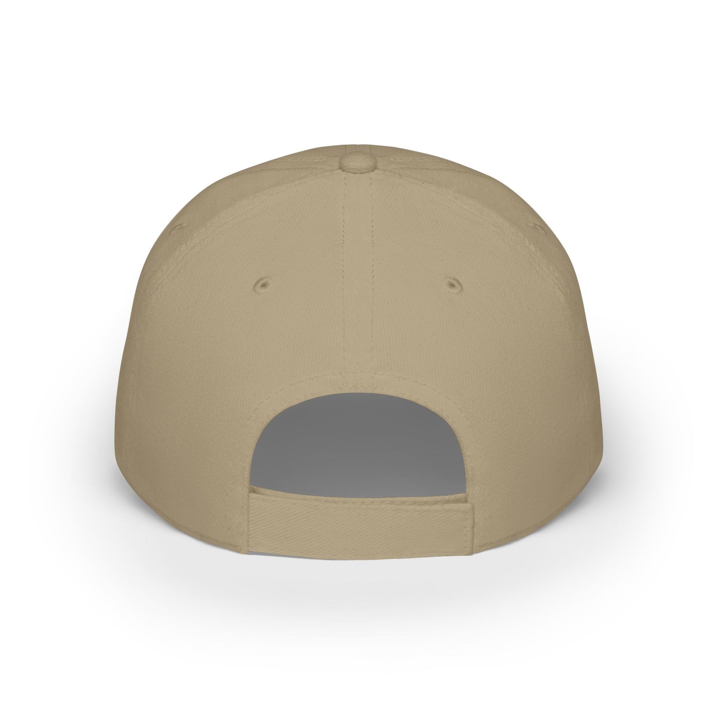 World Money Hider Low Profile Baseball Cap - Stylish & Trendy Headwear for The Modern Individual