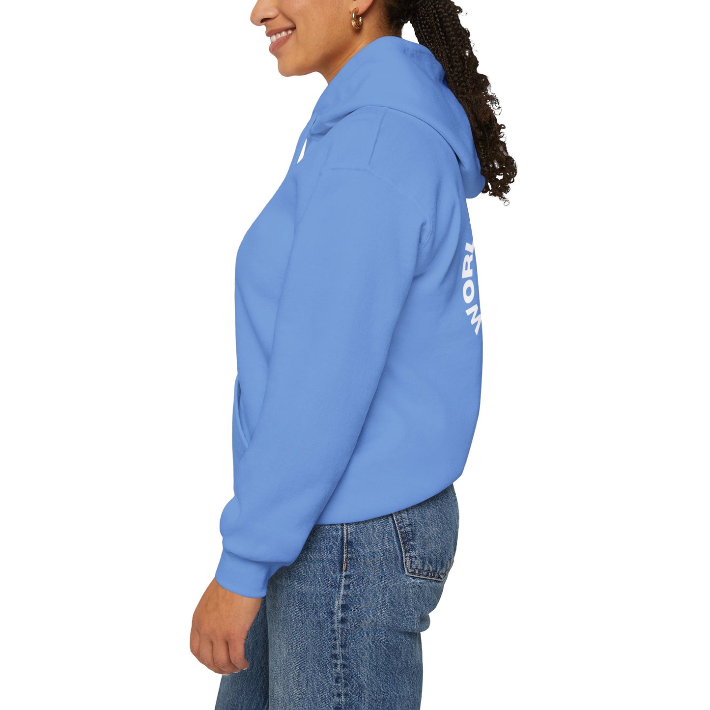 World Money Hider Unisex Hooded Sweatshirt