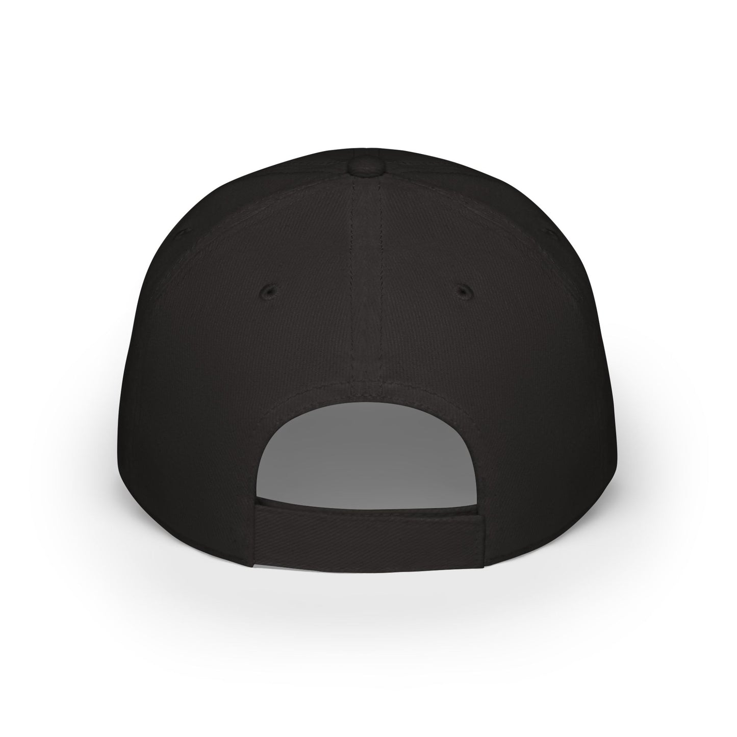 World Money Hider Low Profile Baseball Cap - Stylish & Trendy Headwear for The Modern Individual