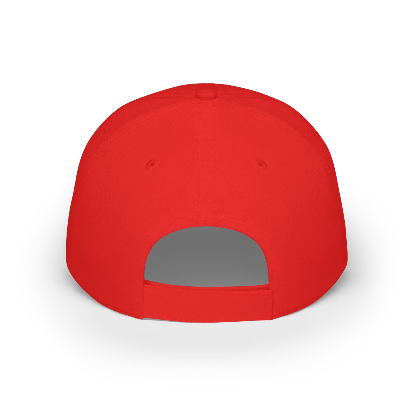 World Money Hider Low Profile Baseball Cap - Stylish & Trendy Headwear for The Modern Individual
