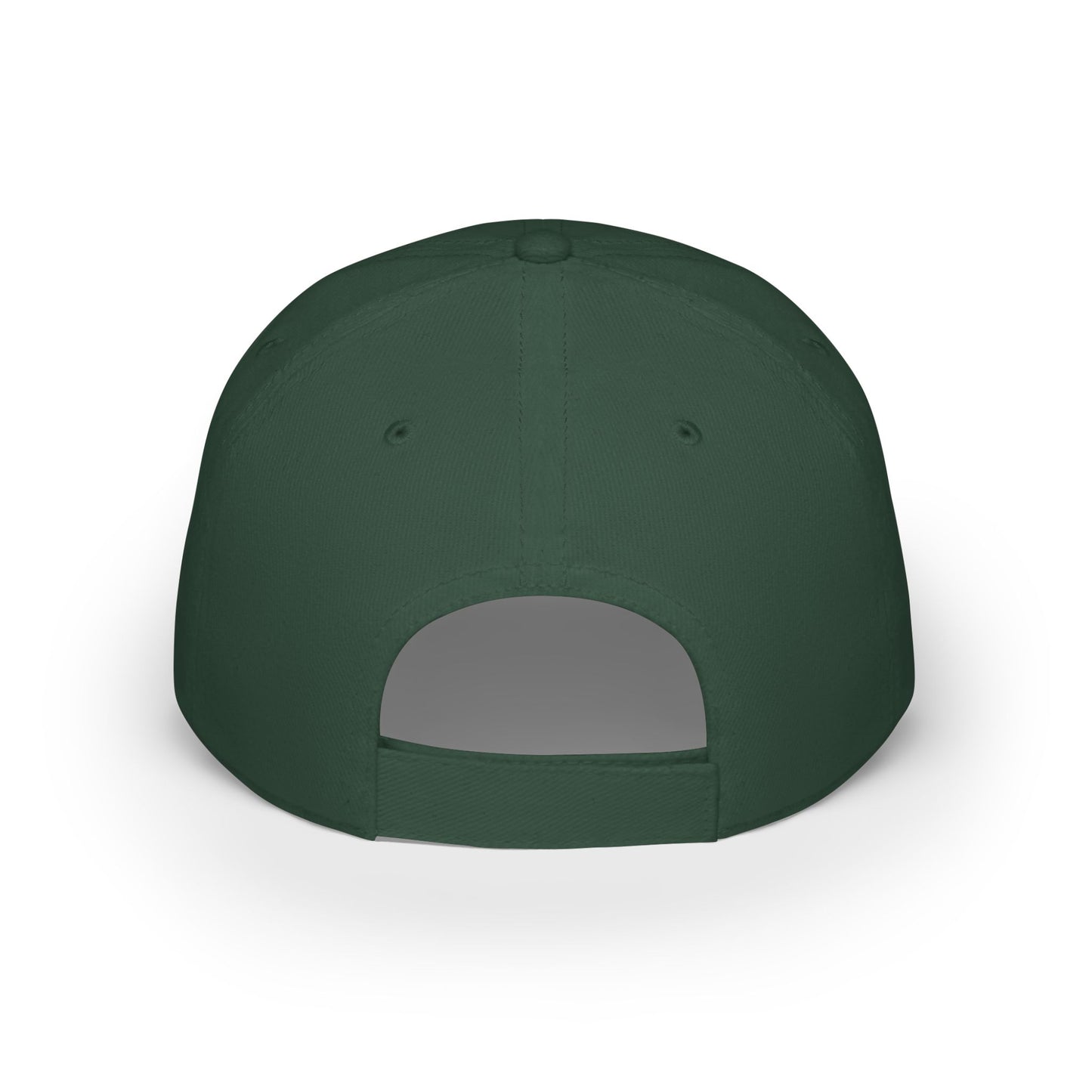 World Money Hider Low Profile Baseball Cap - Stylish & Trendy Headwear for The Modern Individual