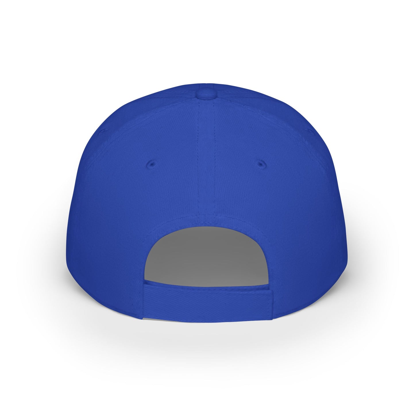 World Money Hider Low Profile Baseball Cap - Stylish & Trendy Headwear for The Modern Individual