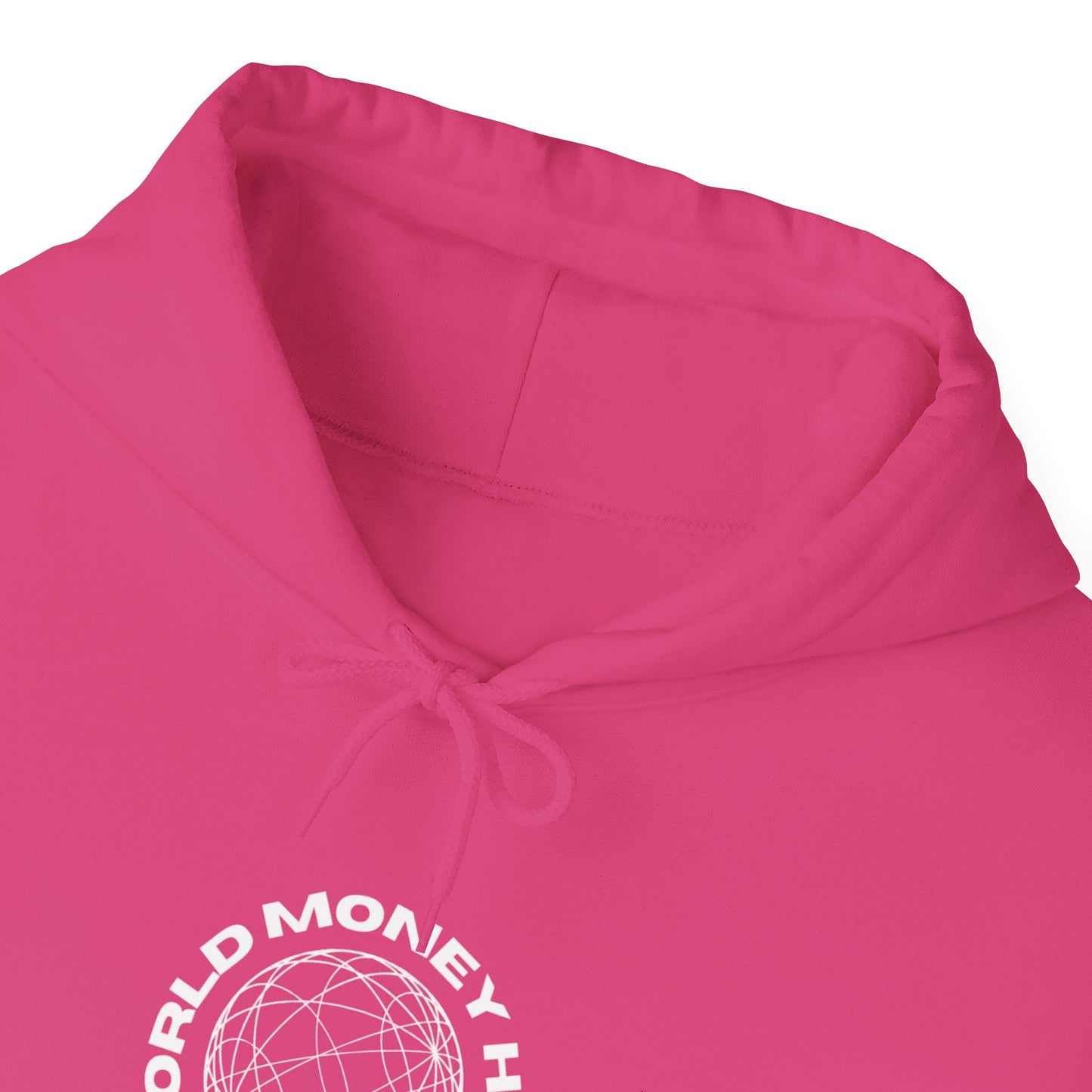 World Money Hider Unisex Hooded Sweatshirt