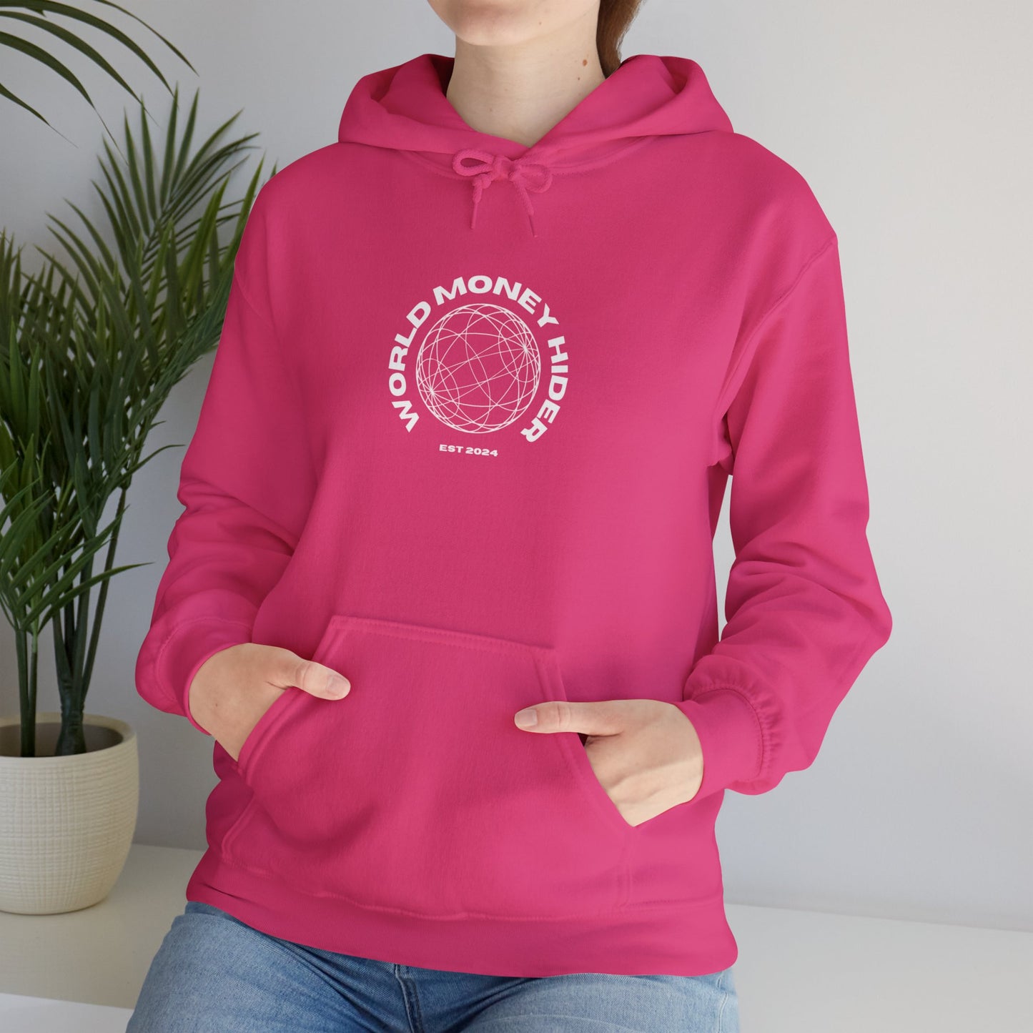 World Money Hider Unisex Hooded Sweatshirt